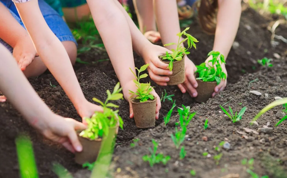 Children planting seedlings in a garden bed
